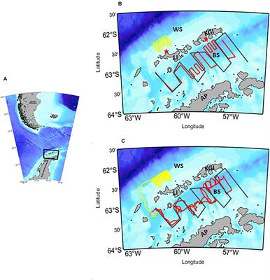 Glider-Based Estimates of Meso-Zooplankton Biomass Density: A Fisheries Case Study on Antarctic Krill (Euphausia superba) Around the Northern Antarctic Peninsula